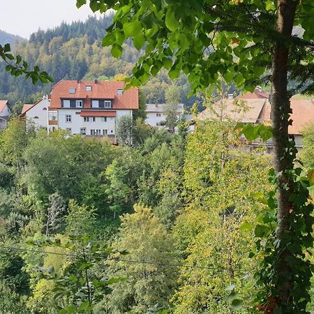 Ferienwohnung Auf Dem Bueckle Kleines Wiesental エクステリア 写真