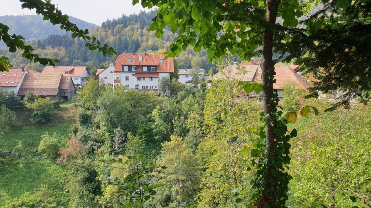 Ferienwohnung Auf Dem Bueckle Kleines Wiesental エクステリア 写真