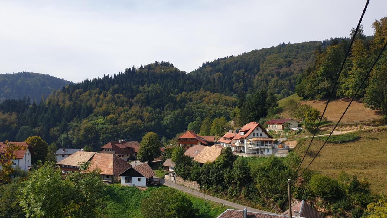 Ferienwohnung Auf Dem Bueckle Kleines Wiesental エクステリア 写真